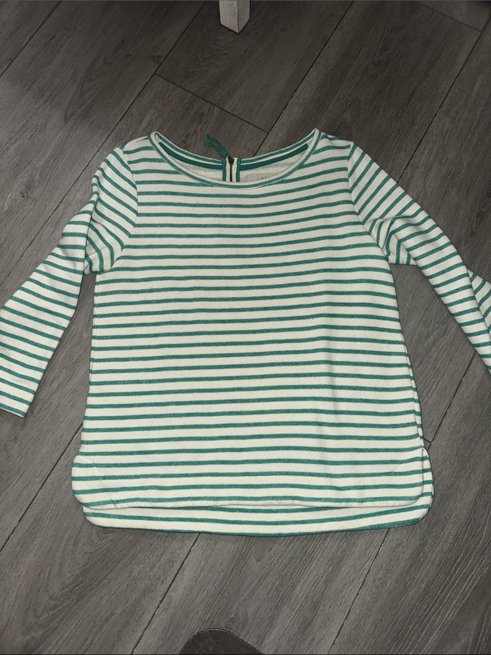 Ann Taylor LOFT White & Green Striped Long-Sleeve Top size medium